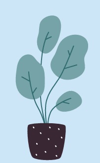 Huiskamerplant illustratie 